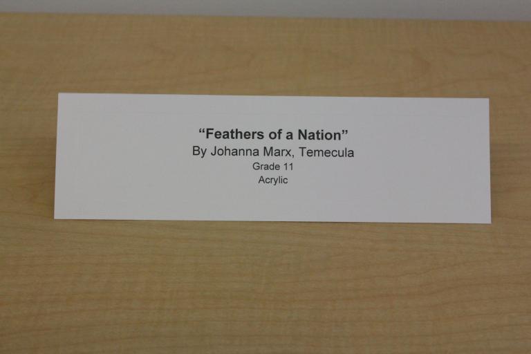 "Feathers of a Nation" by Johanna Marx placard.