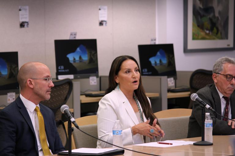 Mark A. Vezzola, Judge Sunshine S. Sykes, and Mark Radoff