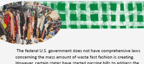 A rack of clothes alongside the text excerpt, "The Federal U.S. government does not have comprehensive laws concerning the mass amounts of waste fast fashion is creating. However, certain states have started passing bills to address the"