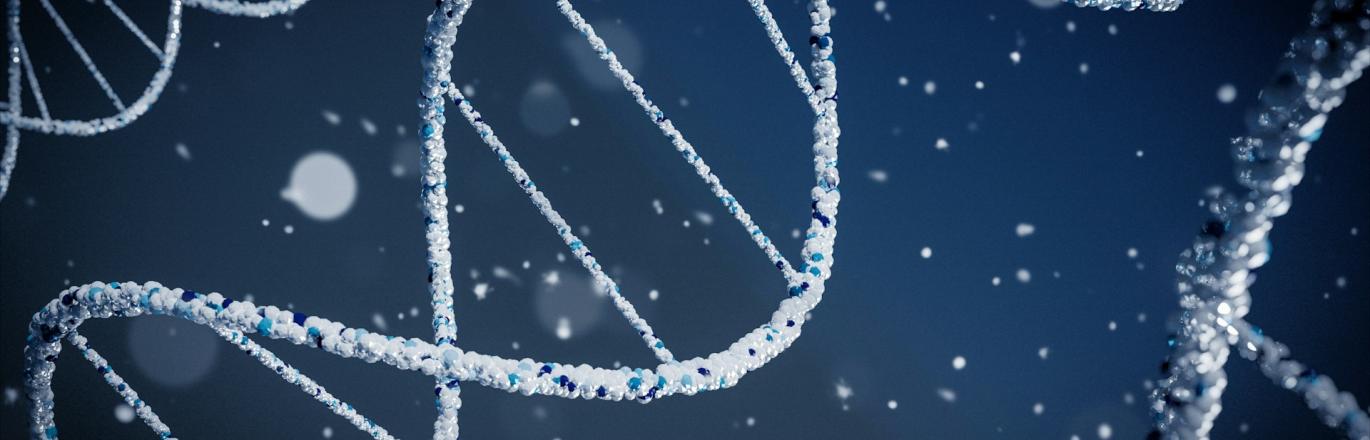 3D render of DNA strands by Brano on Upsplash.