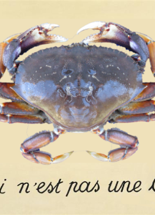 An edit of Renee Magritte's "The Treachery of Images" with the pipe replaced by a crab and the text "Ceci n'est pas une crabe."