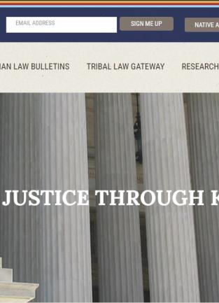 screenshot of NILL website with seated woman marble statue in front of columns